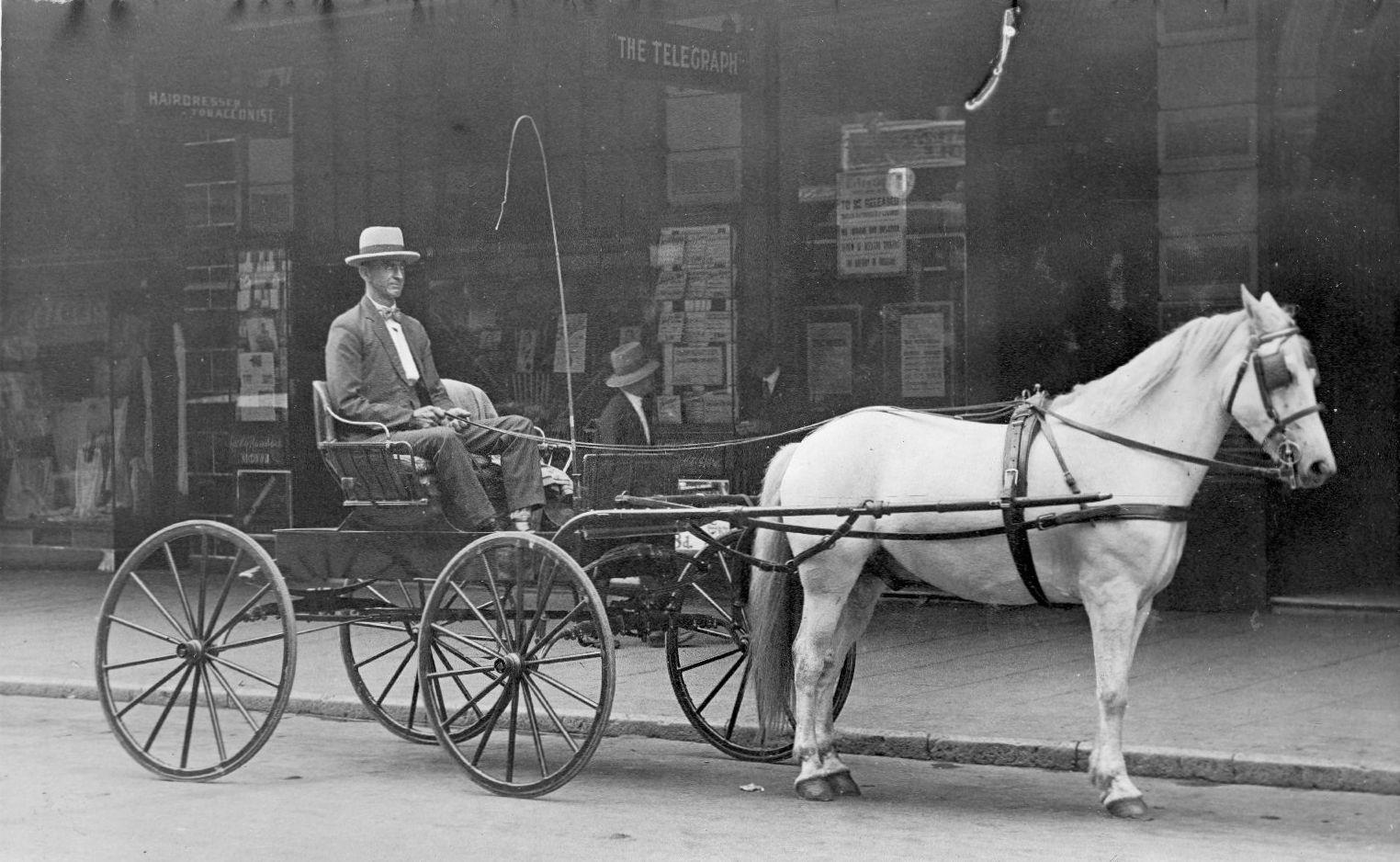 Photograph Horse and Cart; H3157 Queensland Museum